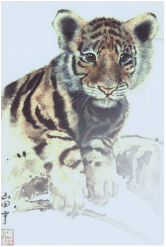 yamada tomas
