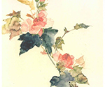 Yamada Tomás