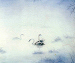 Yamada Tomás