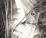 Yamada Tomás